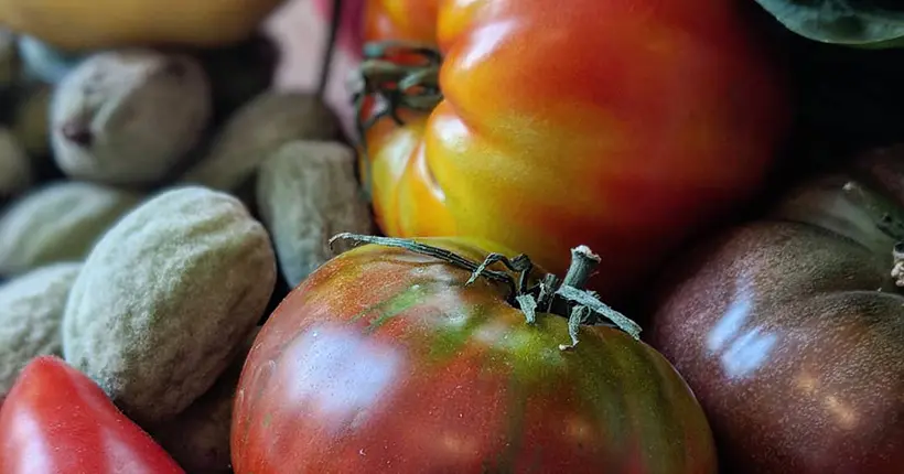 Notre panier de saison pour 20 balles au marché, semaine 15