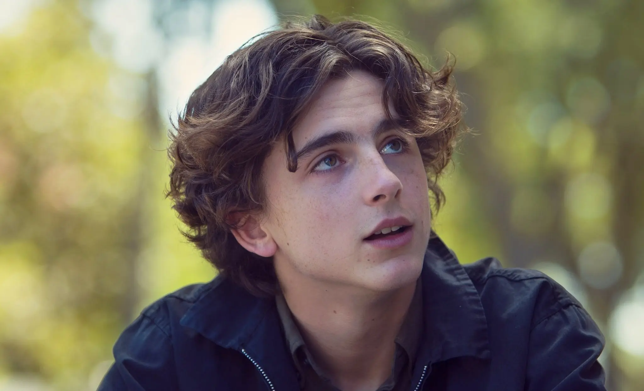 Timothée Chalamet devrait être la tête d’affiche du Dune de Denis Villeneuve