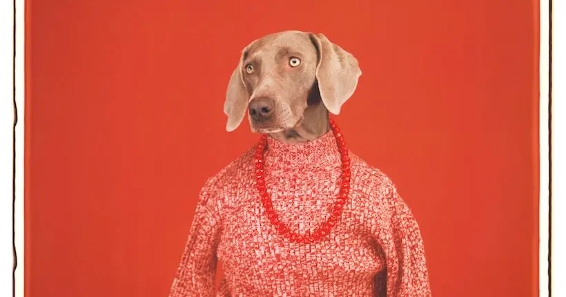 Arles 2018 : drôle et émouvante, l’expo de William Wegman met en scène le meilleur ami de l’homme