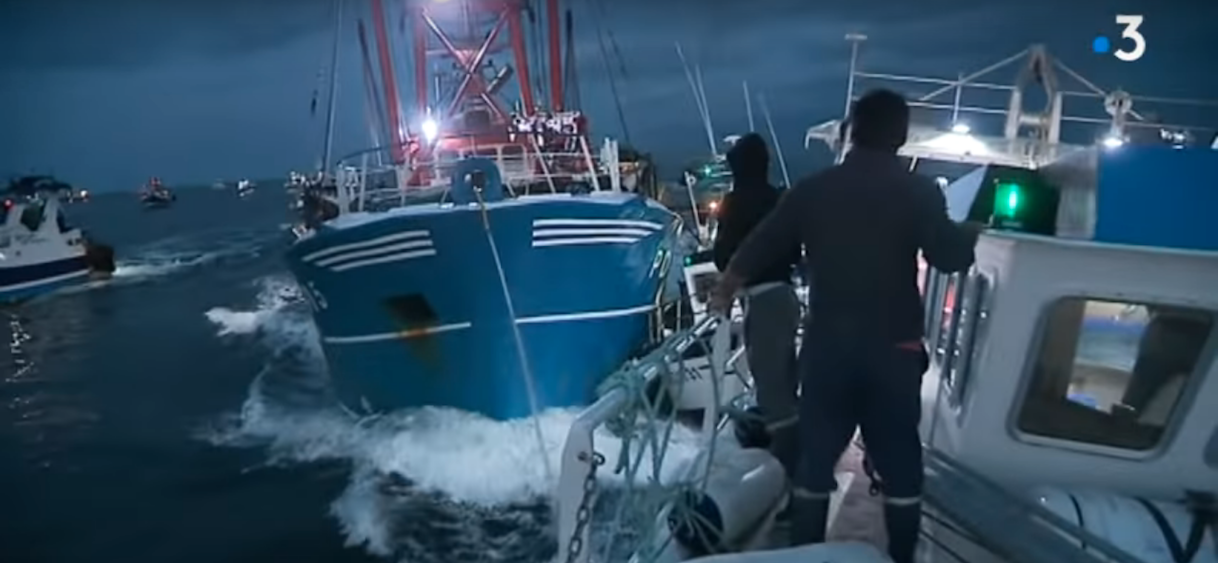 La coquille Saint-Jacques au cœur d’affrontements entre pêcheurs français et britanniques