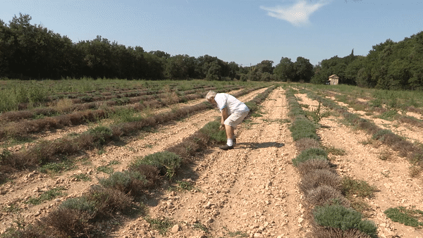 Vidéo : Cet agriculteur attaque l’Union européenne pour son inaction face au changement climatique