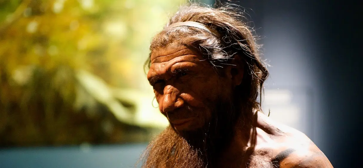 Un os vieux de 90 000 ans prouve que deux espèces humaines se sont reproduites entre elles