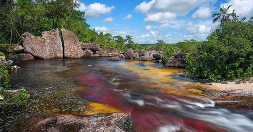 20 000 lieux sur la Terre : Caño Cristales, la rivière arc-en-ciel en Colombie