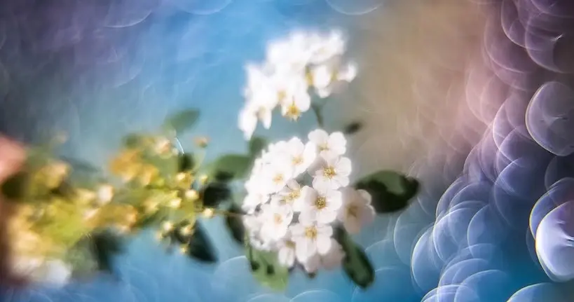 En modifiant une lentille, ce photographe a réussi à obtenir un bokeh hypnotisant