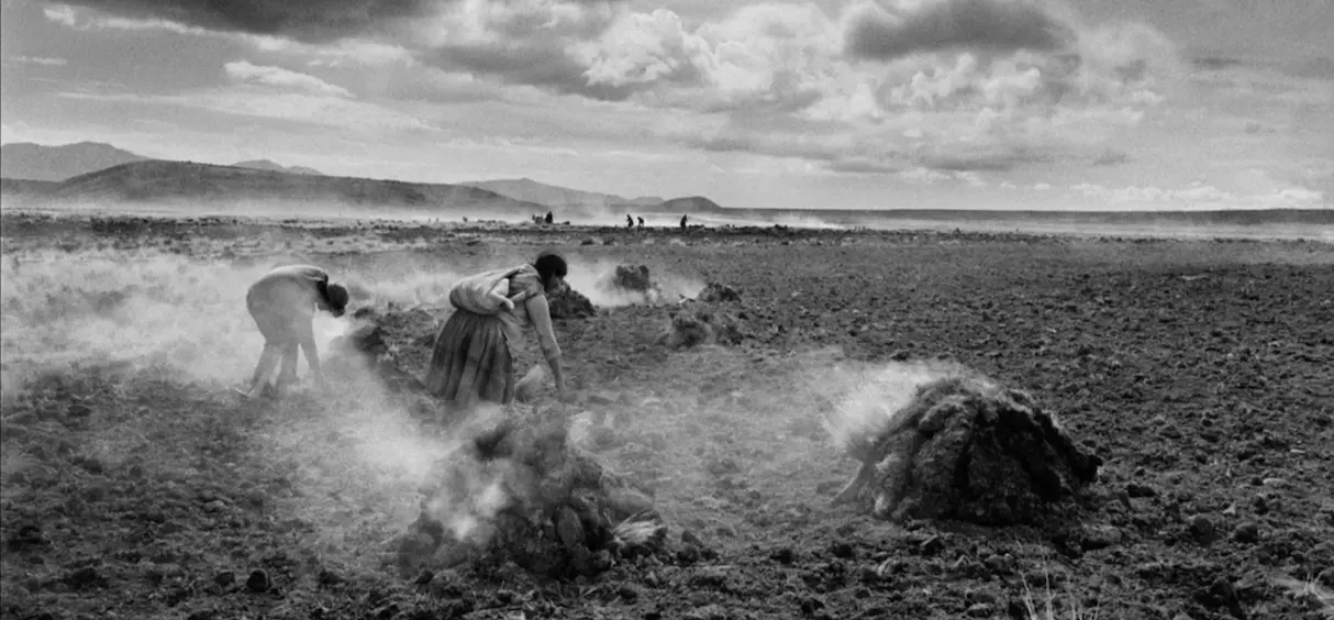 Le Sel de la Terre, documentaire sur Sebastião Salgado, est disponible sur Arte