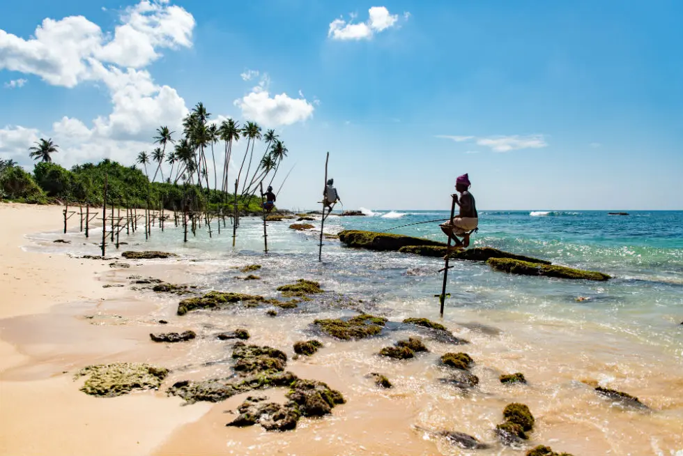 Dans le quotidien haut perché des pêcheurs sur échasse du Sri Lanka