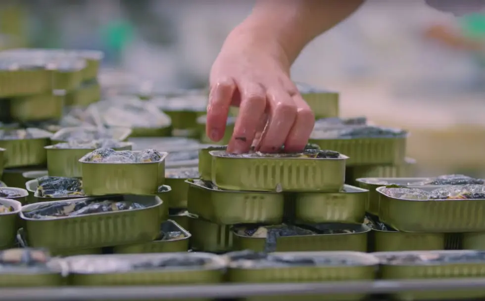 Vidéo : plongée dans l’art traditionnel de la mise en conserve de sardines