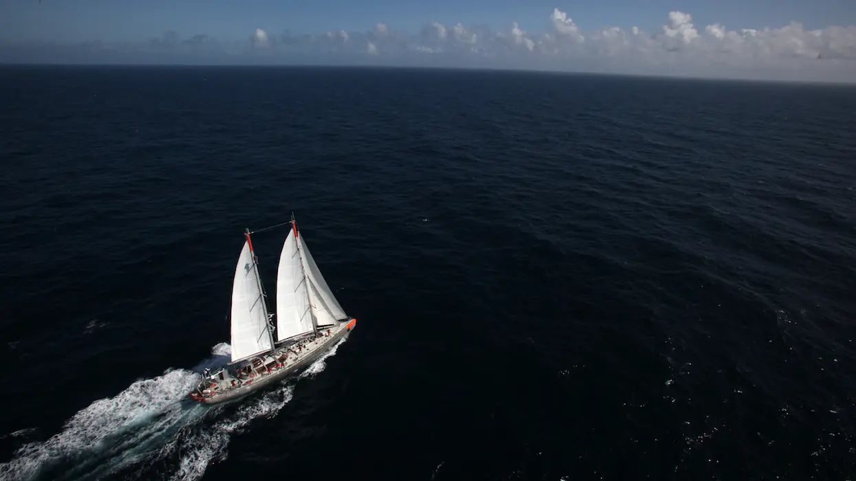Vidéo : l’expédition Tara Pacific est arrivée à bon port avec de véritables trésors d’information
