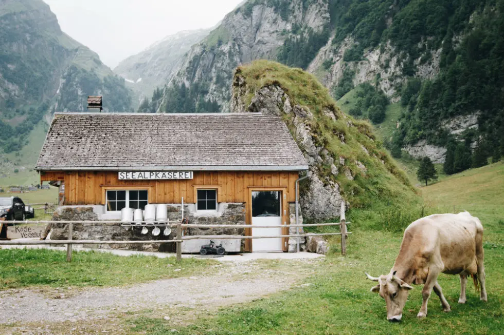 Quand des fromageries américaines “adoptent” des producteurs suisses