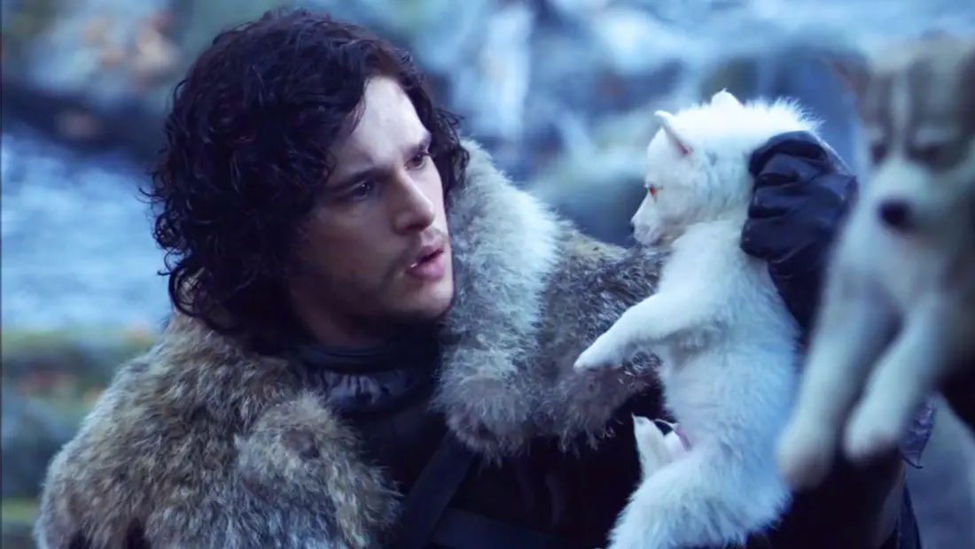 Jon Snow retrouvera bien son loup-garou dans la saison 8 de Game of Thrones