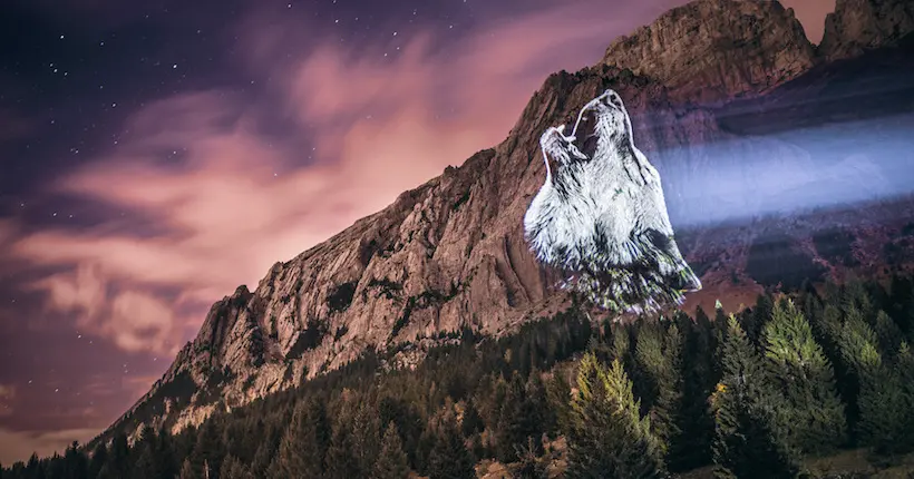 Dans les Alpes, des portraits lumineux d’espèces menacées projetés par Julien Nonnon