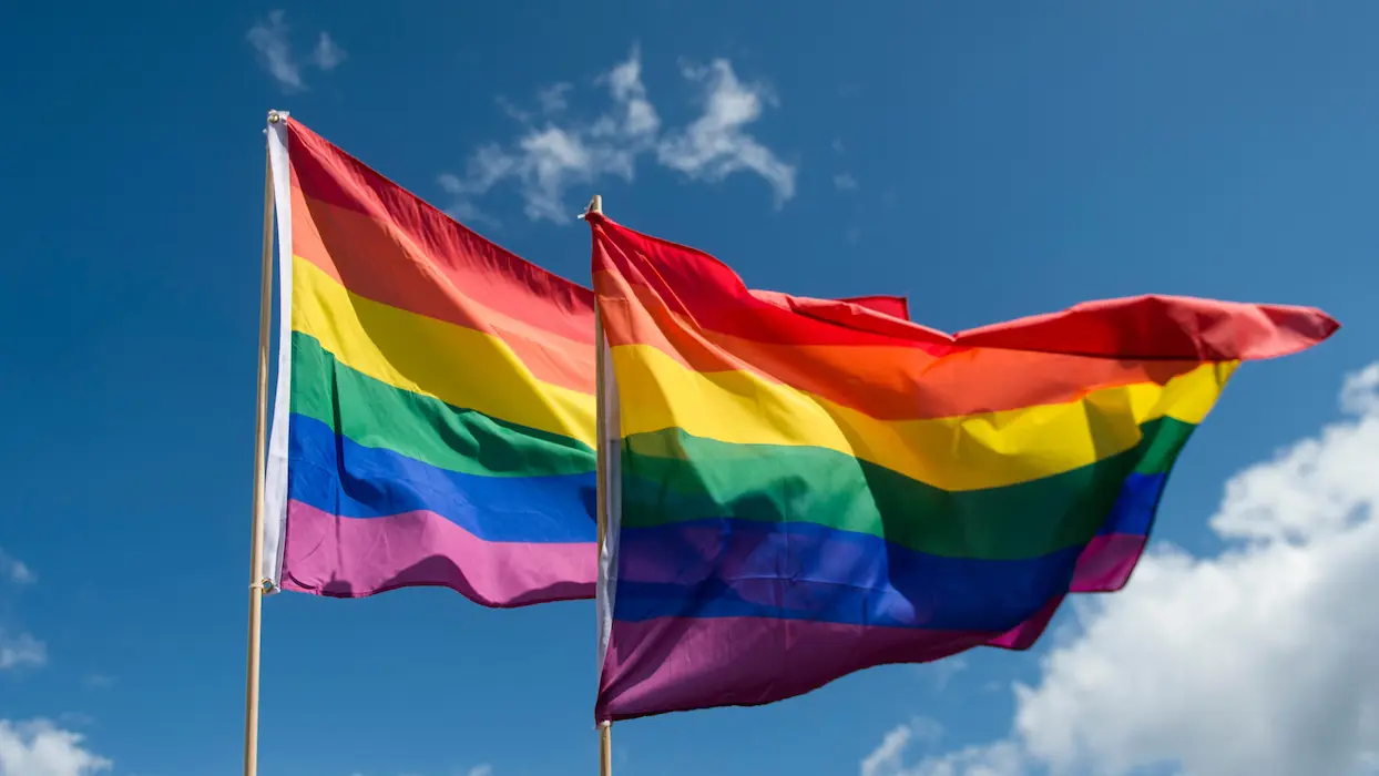 Anne Hidalgo veut condamner les auteurs de violences homophobes à des TIG dans des assos LGBTQ+
