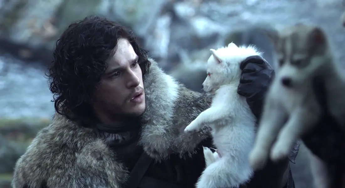Les fans de Game of Thrones veulent leur loup-garou, et ça inquiète les refuges pour animaux