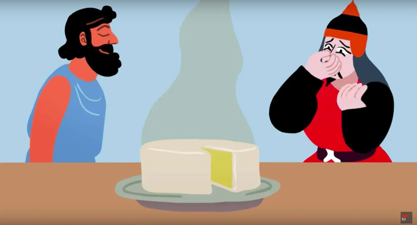 Vidéo : comment le fromage a traversé les millénaires