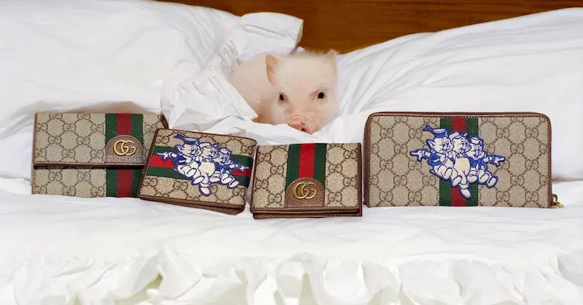 De mignons petits cochons, stars de la nouvelle campagne de Gucci