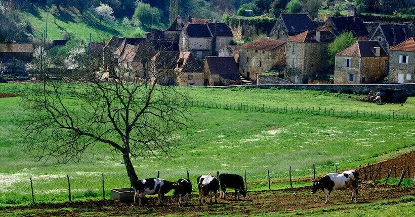 Témoignage : oh les Parisiens, je vais vous expliquer la vraie campagne !