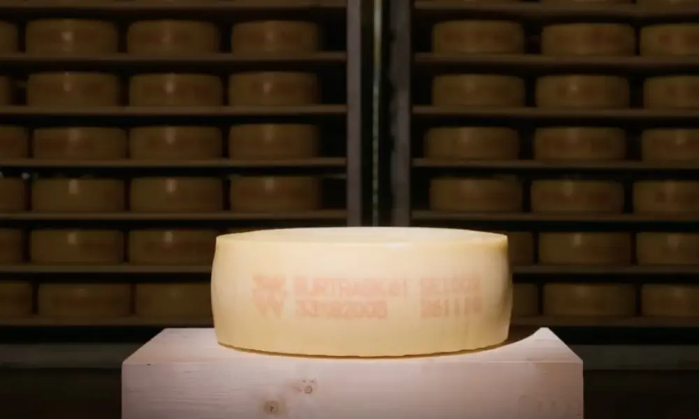 Vidéo : l’histoire du fromage qui tire (sans doute) son goût d’une météorite