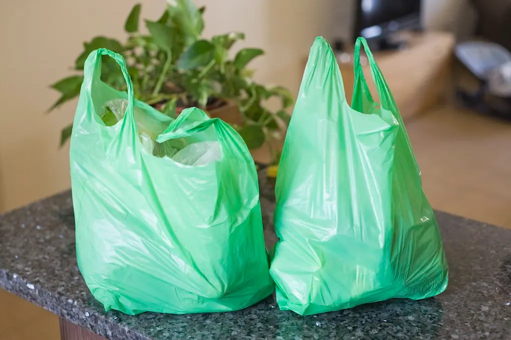 Enterrés pendant trois ans, des sacs plastiques “biodégradables” sont encore utilisables