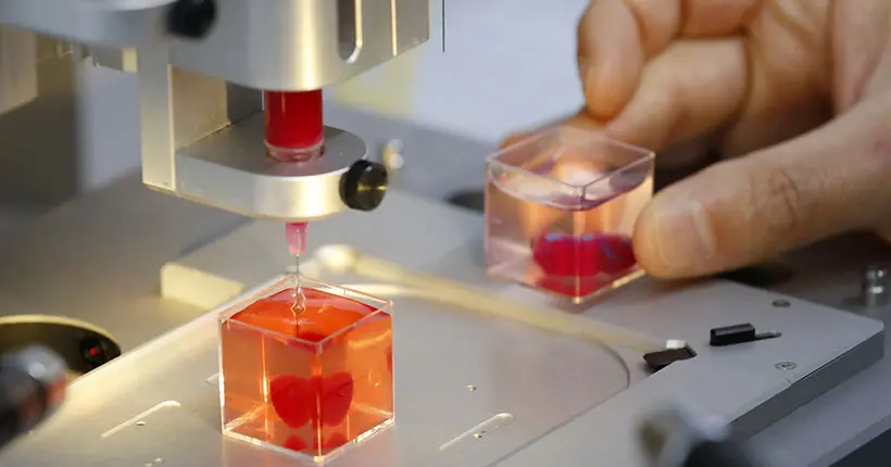 Des scientifiques ont imprimé un vrai et tout petit cœur en 3D