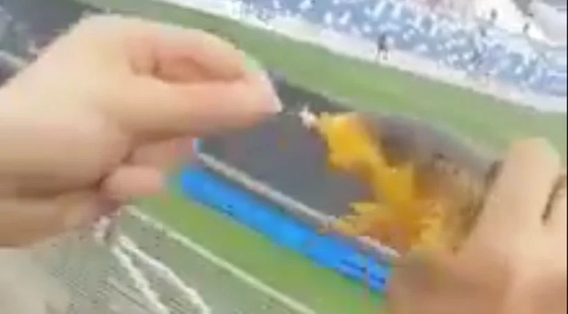 Vidéo : en plein match, un supporter pêche un poisson directement depuis sa tribune