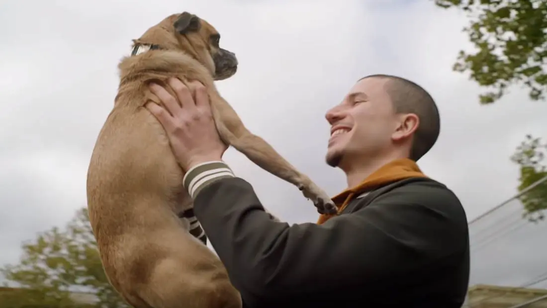 Un trailer barré pour It’s Bruno, comédie Netflix pour les adorateurs de chiens