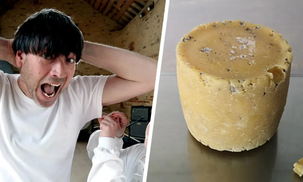 Ils créent du fromage à partir de bactéries prélevées sur des célébrités
