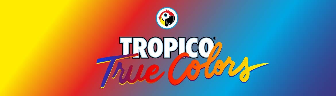 Tropico, retour sur la boisson française la plus pop de tous les temps