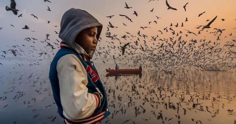 Les gagnants du concours National Geographic 2019 et leurs images époustouflantes
