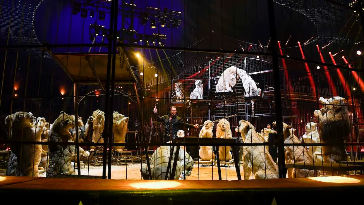 “Ce n’est plus acceptable” : bientôt une loi pour un cirque sans animaux sauvages ?