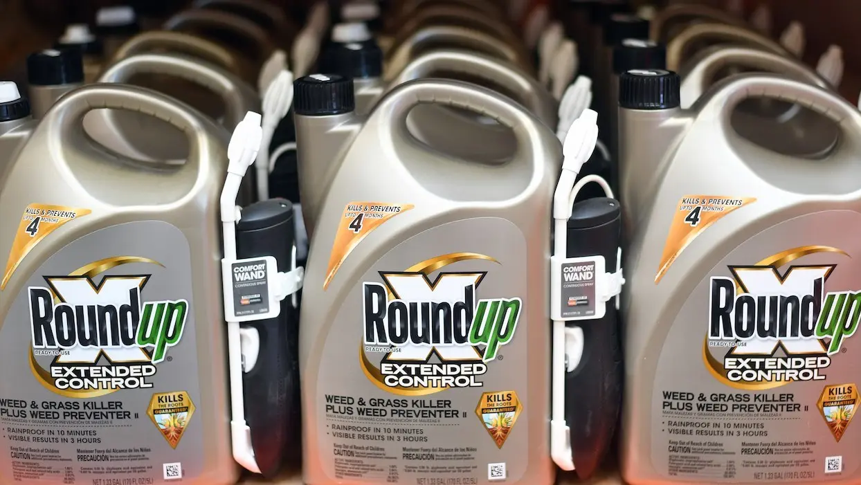 Roundup : la justice américaine réduit considérablement la somme que doit payer Monsanto
