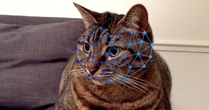 Et voici la gamelle pour chat connectée avec reconnaissance faciale