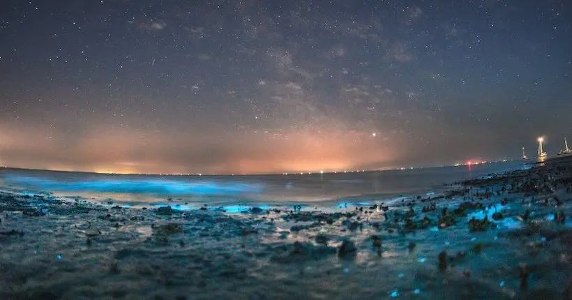 En images : la mer du Nord s’est parée de bleu électrique