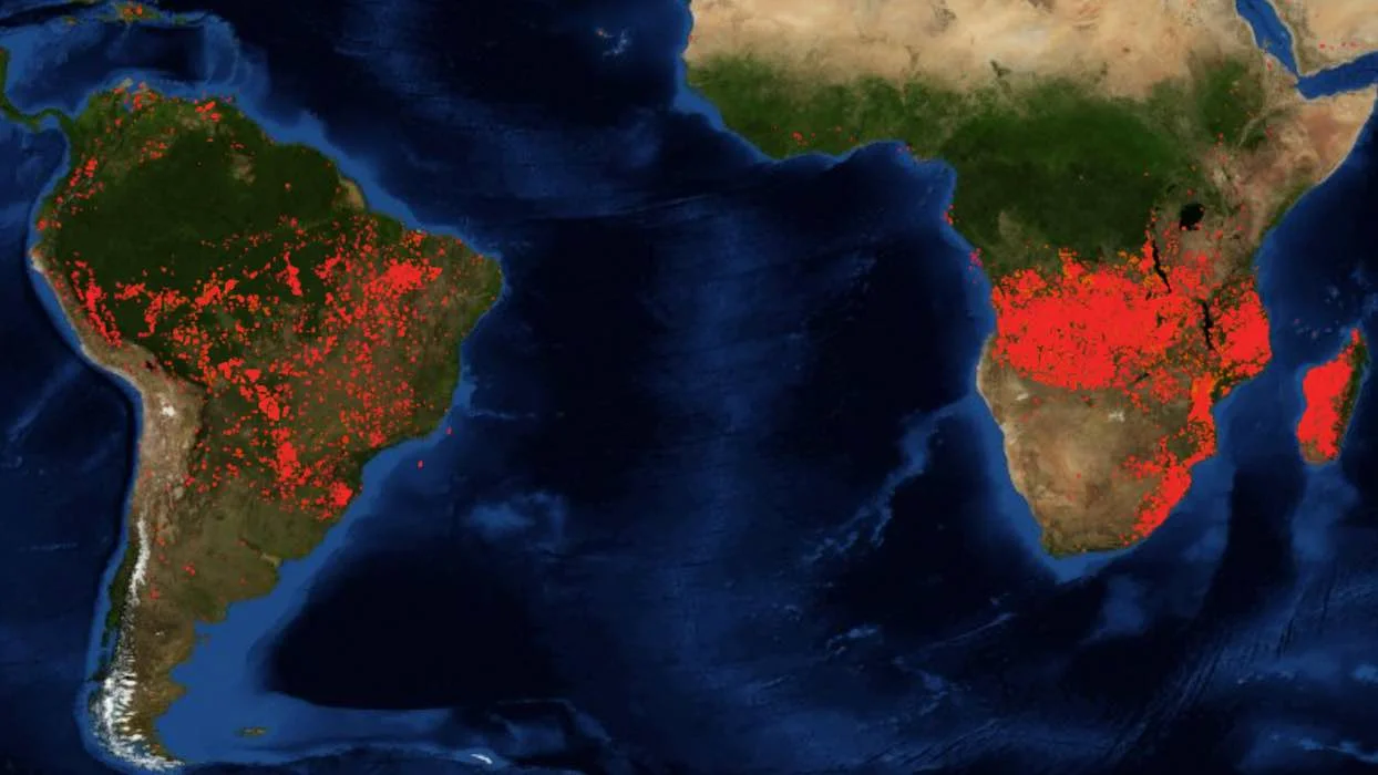 Feux de forêts : la situation est bien pire en Afrique