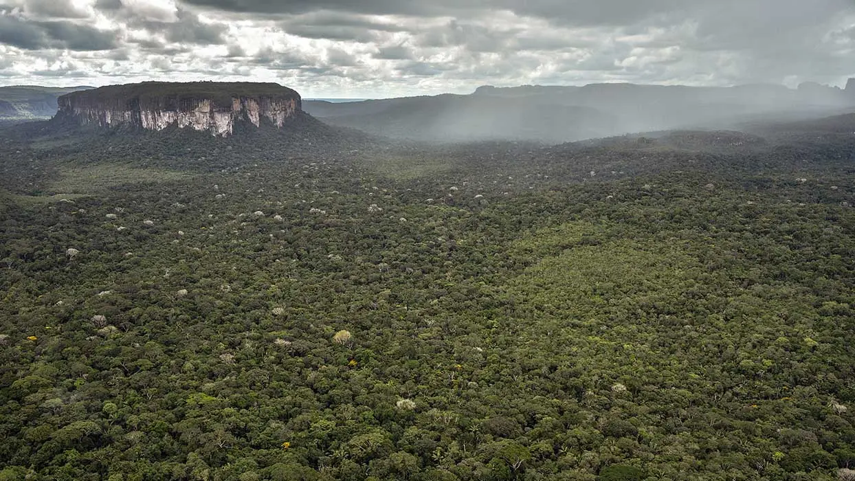 D’anciens FARC lancent une guérilla contre la déforestation en Amazonie
