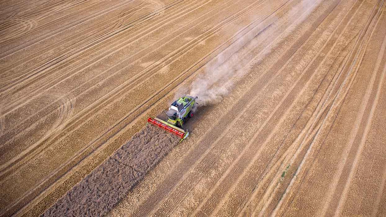 Réchauffement climatique : ce que nous devrions manger demain