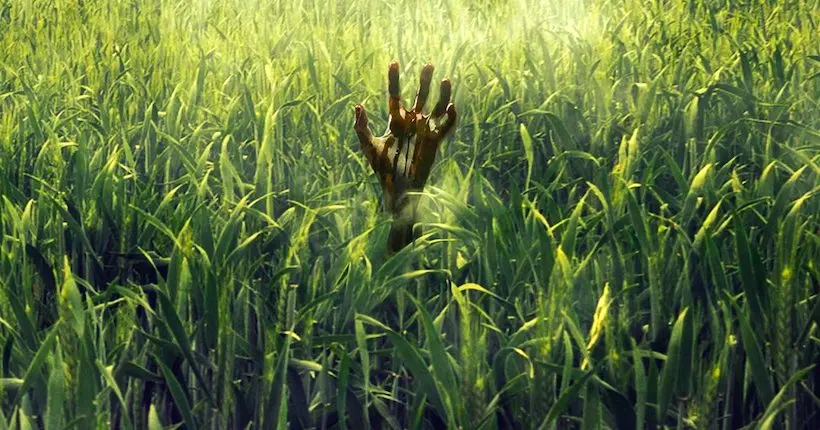 Trailer : In the Tall Grass, une nouvelle adaptation de Stephen King pour Netflix