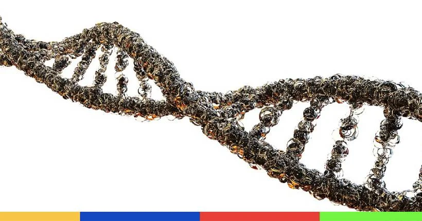 Des chercheurs viennent de dévoiler une nouvelle méthode de modification de l’ADN