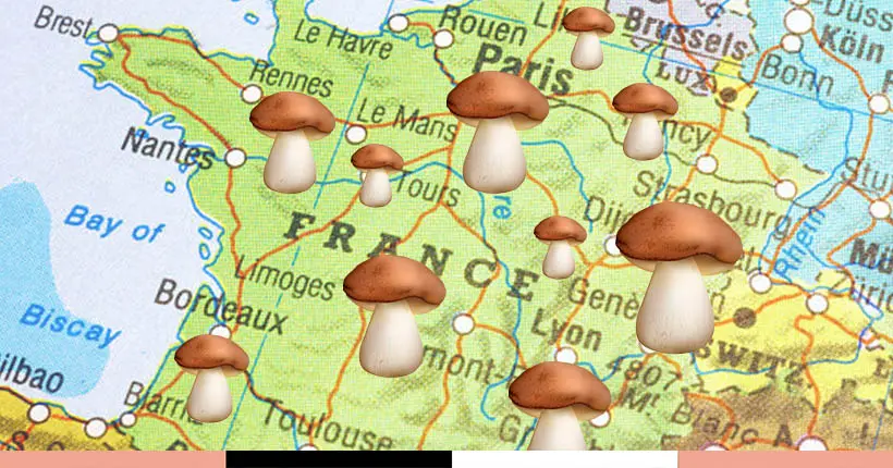 L’uberisation des coins à champignons n’aura pas lieu