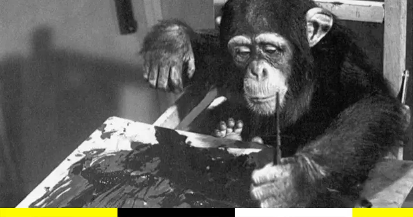 Les peintures de Congo, le chimpanzé artiste, seront mises en vente prochainement