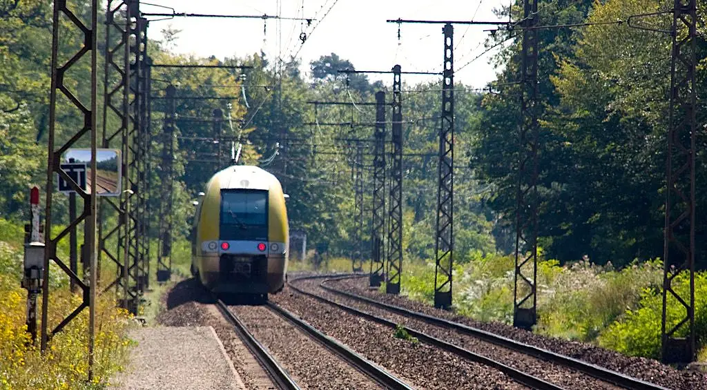 Il existe un train secret qui s’arrête en pleine forêt pour les cueilleurs de champignons