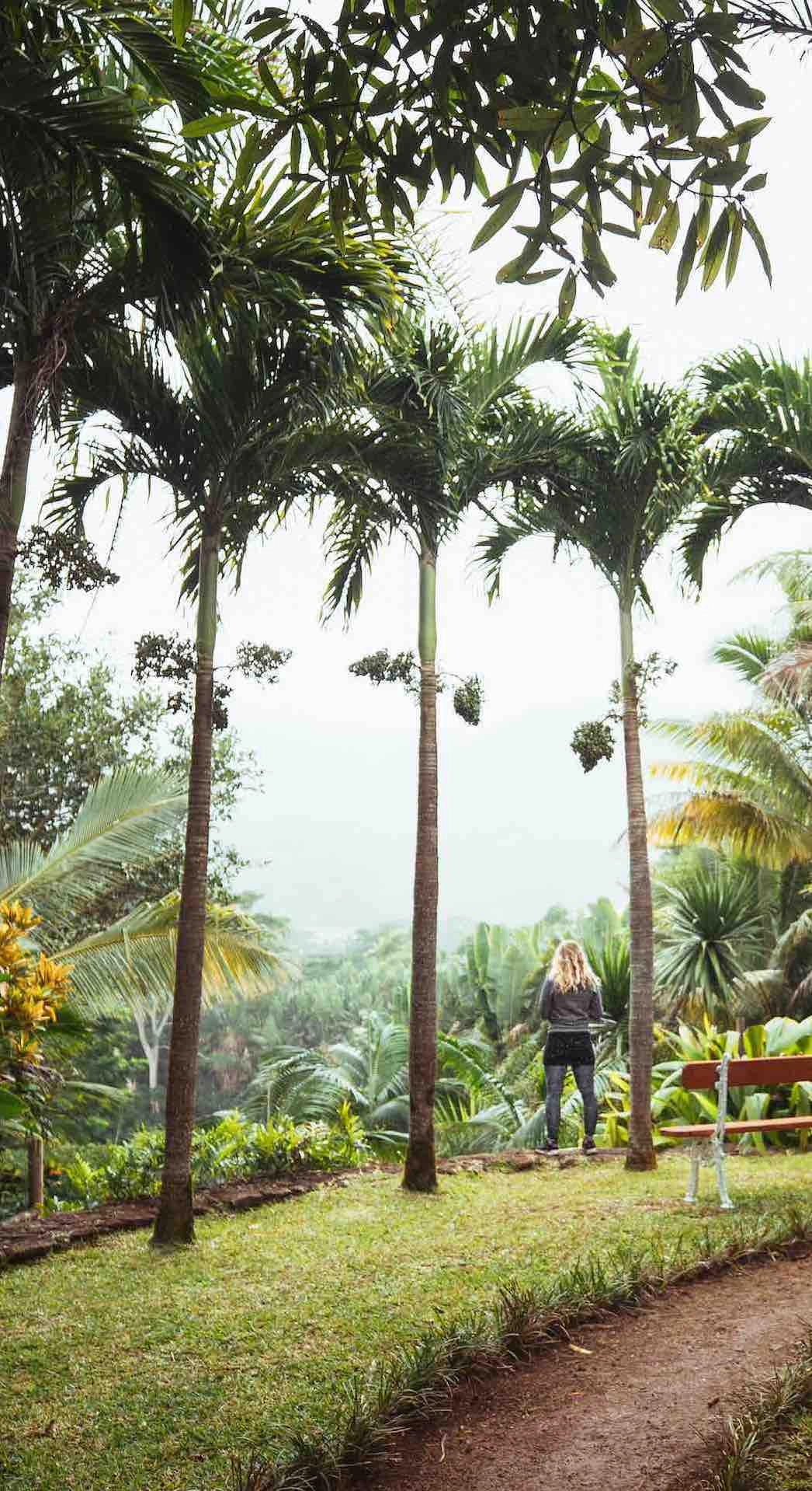 Ile Maurice : le road-trip qui va éclater vos prochaines vacances