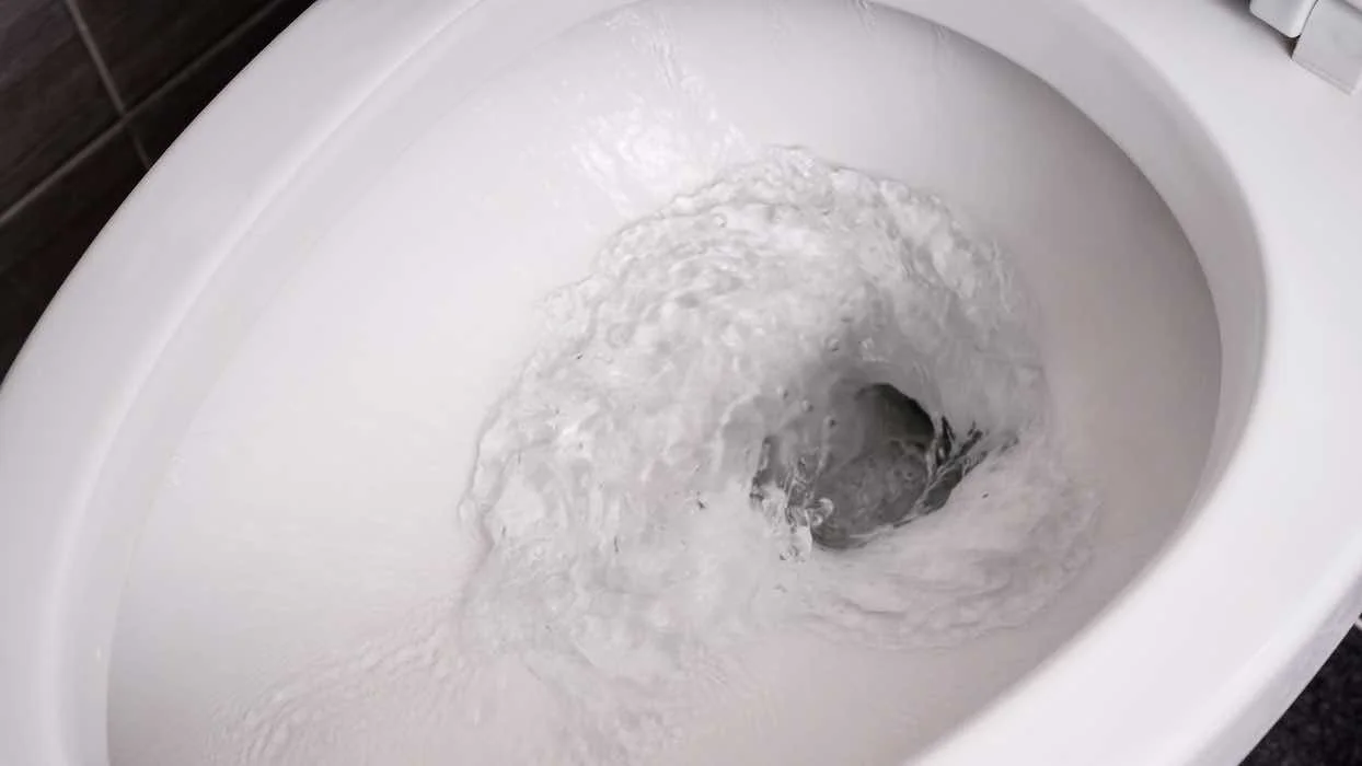 Belgique : un restaurant sert l’eau filtrée des toilettes à ses clients