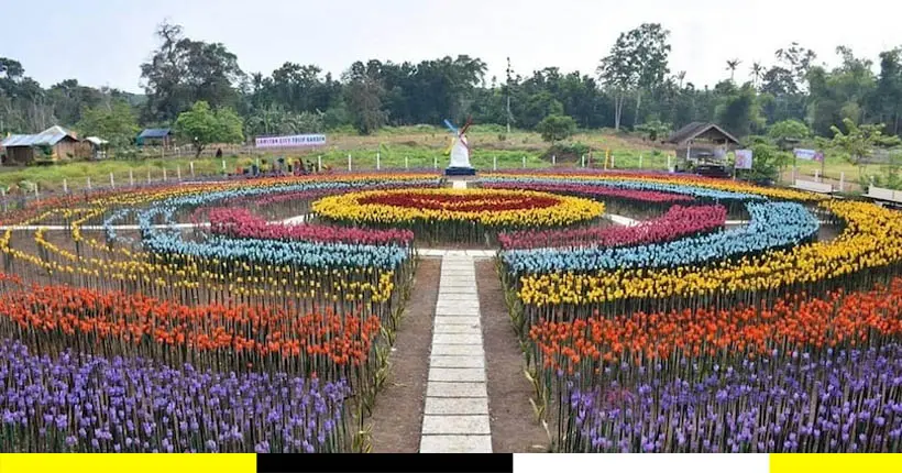 Aux Philippines, un jardin de tulipes en plastique est le repaire des instagrameurs
