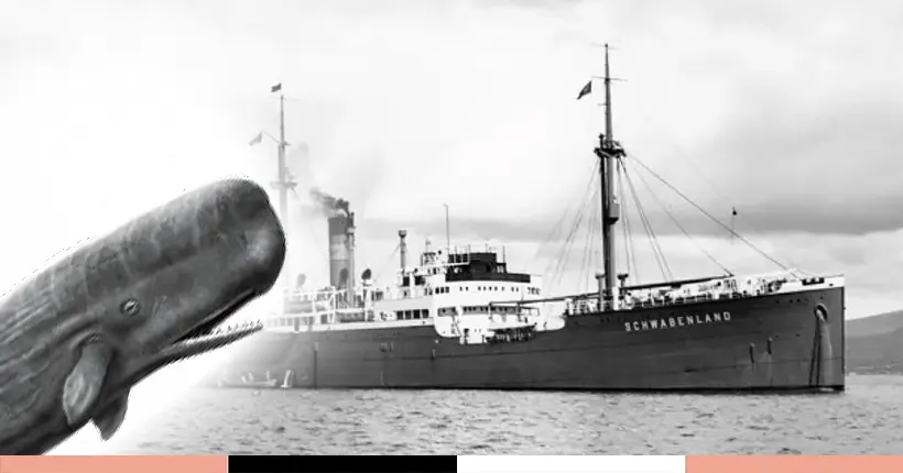L’expédition secrète de Hitler à la recherche de baleines pour récupérer de la margarine