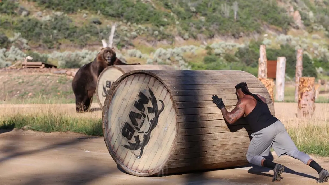 Man vs. Bear : une émission américaine va opposer des hommes et des ours bruns