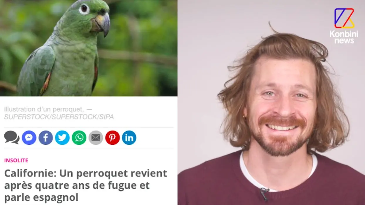 Vidéo : l’homme qui compile les pires titres de la presse francophone