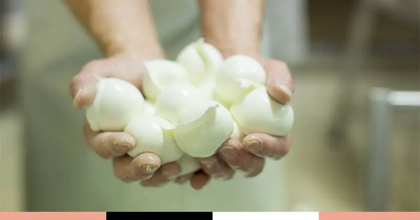 Reprenons les bases : voici la différence entre mozzarella, burrata et stracciatella