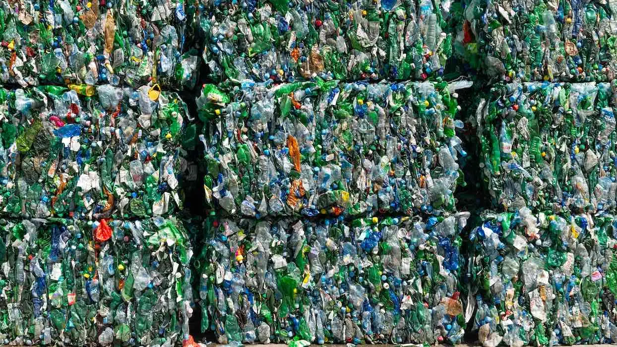Fin de l’emballage plastique à usage unique : l’Assemblée fixe un objectif à… 2040