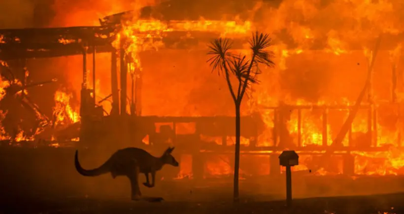 En images : l’Australie dévorée par des flammes hors de contrôle