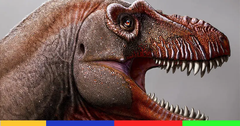 Crétacessez tout : un nouveau tyrannosaure a été découvert